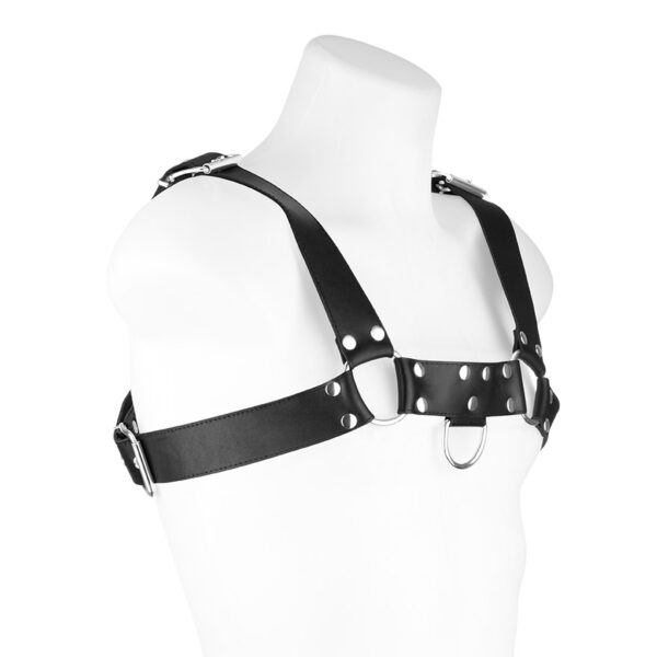 Bodyharness