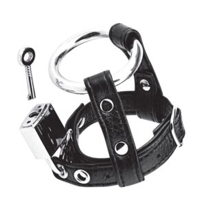 Blue Line Duo Cock and Ball Lock: Metall-Penisring mit Leder-Hodenriemen