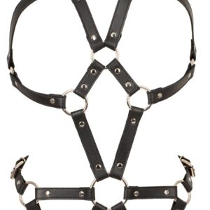 Harness-Body, mehrfach verstellbar